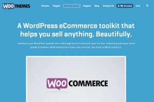 Taking restaurant orders online? WooCommerce is a full-scale solution